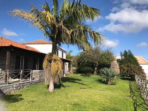 卡列塔Casa dos Reis的房屋前的棕榈树