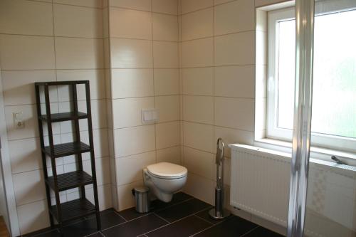 塞布尼茨Ferienhaus Sonneneck的一间带卫生间和窗户的浴室