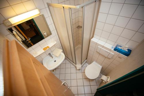 Schnelldorf雷斯登斯酒店的带淋浴、卫生间和盥洗盆的浴室
