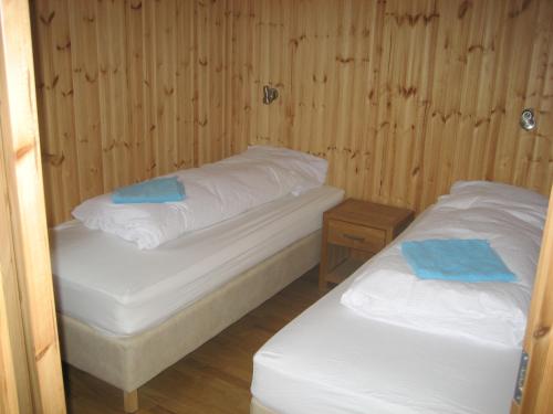 Vestri Pétursey韦斯特皮埃特西度假屋的木墙客房的两张床