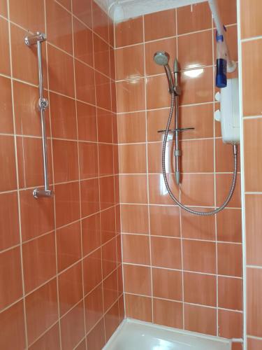 卡迪夫Court Road House的浴室铺有橙色瓷砖,设有淋浴。