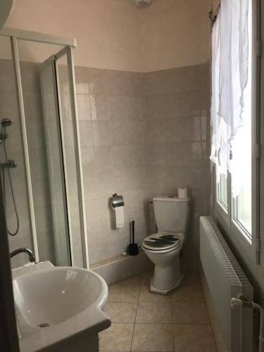 圣皮耶尔代科尔普Hotel Restaurant l'Avenir的一间带卫生间和水槽的浴室