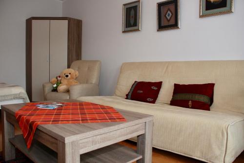 克拉科夫Apartment AMUR的带沙发和泰迪熊的客厅