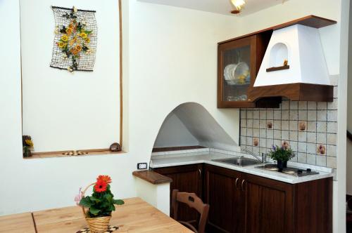 阿尔泰纳鲁佩蒂卡住宿加早餐旅馆的厨房配有木桌和水槽。