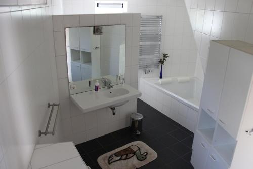 西泰尔斯海灵TS37公寓的白色的浴室设有水槽和镜子