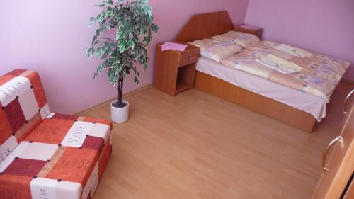 科希策体育场酒店的一间卧室配有一张床和盆栽植物