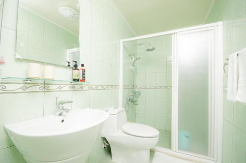 Qimei波克夏民宿 的浴室配有卫生间、盥洗盆和淋浴。