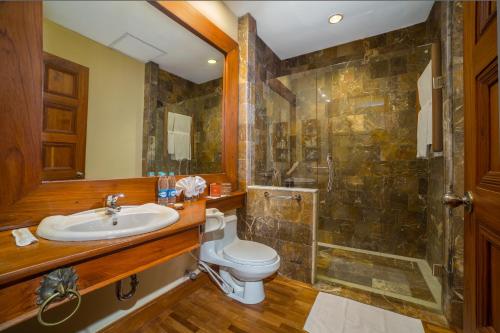 蒲甘泰拉巴之门酒店的一间带水槽、卫生间和淋浴的浴室