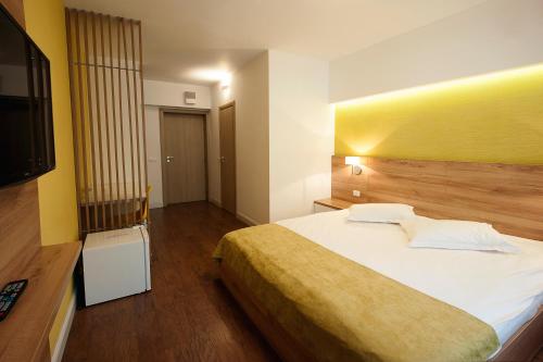 雅西塞拉米卡酒店的一间卧室配有一张大床和电视