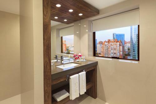 圣地亚哥圣地亚哥富豪太平洋大酒店的一间带水槽和大窗户的浴室