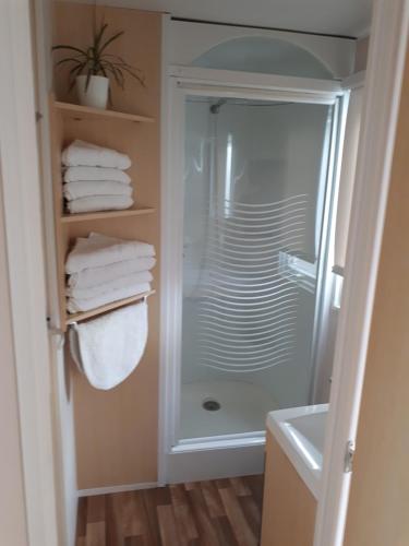 埃尔帕尔马Mobil home的带淋浴的浴室,配有架子上的毛巾