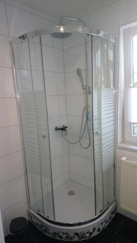 VolkholzPension Hofmann的浴室内带玻璃淋浴间