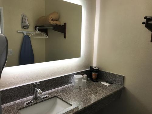 科尔顿科尔顿酒店的浴室的柜台设有水槽和镜子