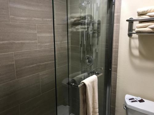 科尔顿科尔顿酒店的浴室里设有玻璃门淋浴