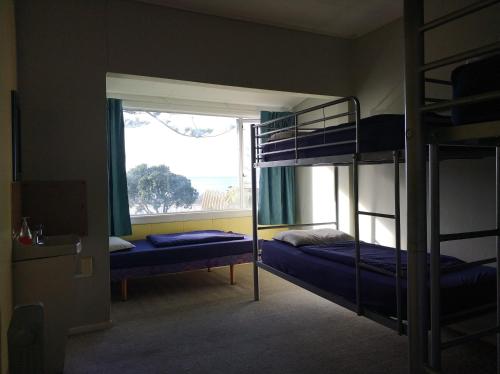 纳皮尔Napier Art House Backpackers的一间卧室设有两张双层床和一扇窗户。