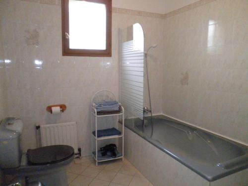 阿姆博斯Chambres d'hôtes Les Nefliers的带浴缸、卫生间和盥洗盆的浴室