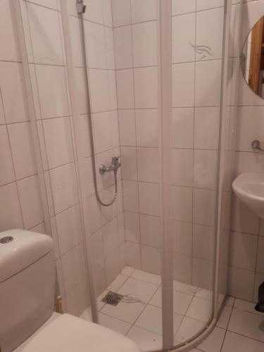 NavininkaiGazdų Vandens Malūnas的带淋浴、卫生间和盥洗盆的浴室