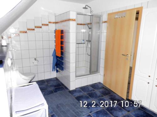 SassenbergFerienwohnung im Grünen的带淋浴和卫生间的浴室
