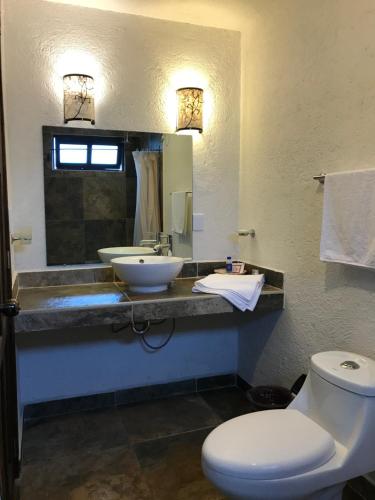 瓦斯卡坎波Namasté Cabañas, Huasca de Ocampo的一间带水槽、卫生间和镜子的浴室