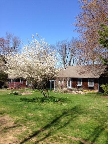 PomfretInn at Fox Hill Farm的院子里有花树的房子