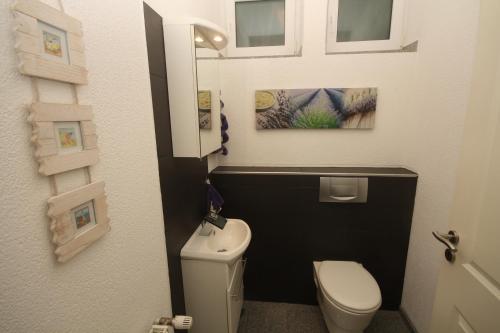埃森鲁尔多米兹尔度假屋的一间带卫生间和水槽的小浴室