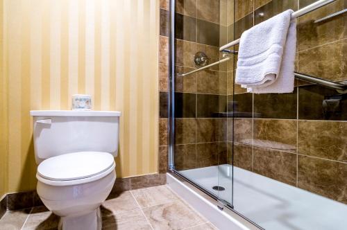 甘德辛巴达斯套房酒店的一间带卫生间和淋浴的浴室