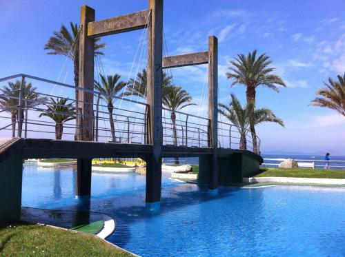 维戈Apartamento playa Samil的一座棕榈树和大海游泳池上的桥梁