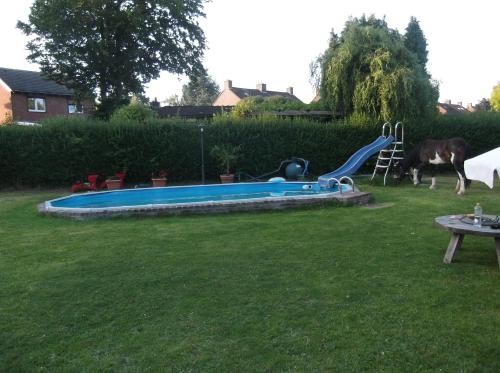 布林瑟姆Leuk vakantiehuisje 6p的一个带滑梯的游泳池,位于一个饲养着牛的院子内