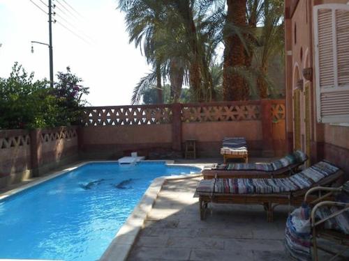 villa al diwan luxor内部或周边的泳池