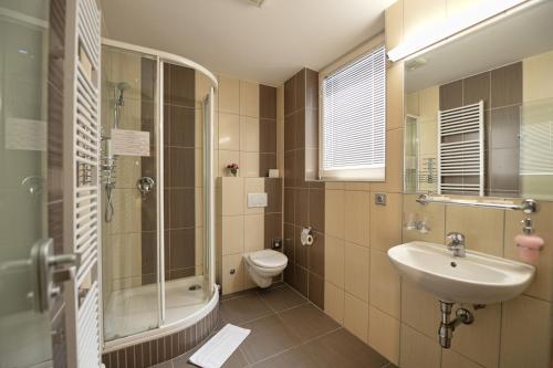 布尔诺瓦卡酒店的一间带水槽、卫生间和淋浴的浴室