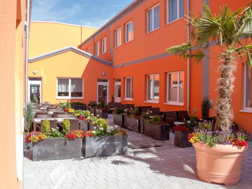 维也纳新城Winrooms Seminar Hotel & Apartments的庭院里一束盆栽植物的建筑