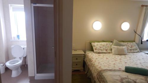 基尔基尔莫恩洛奇科纳费拉酒店的一间卧室配有一张床,浴室设有卫生间