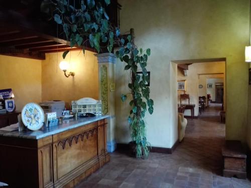 Villa San Domenico的厨房或小厨房