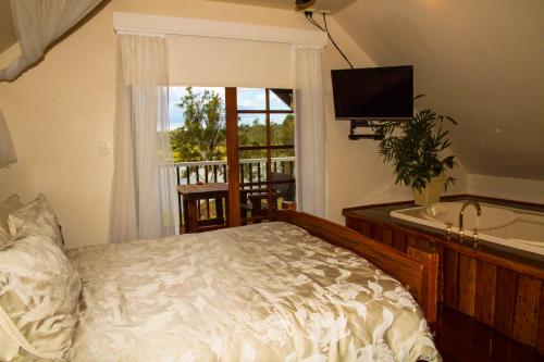 格拉夫顿克拉伦斯河住宿加早餐酒店的一间卧室配有一张床、一个浴缸和一台电视。