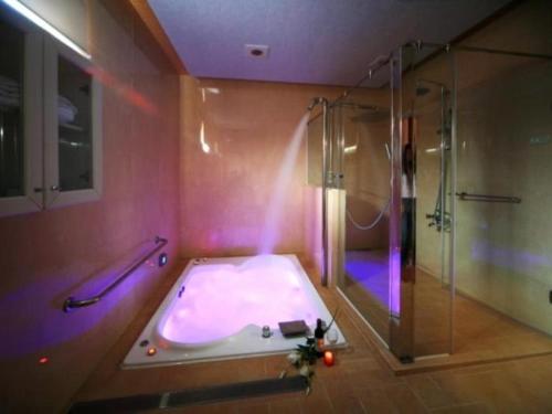 埔里樱花村花园汽车旅馆的设有带浴缸和淋浴的浴室。
