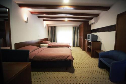 卢布尔雅那普利沃尼库旅馆的酒店客房设有两张床和窗户。