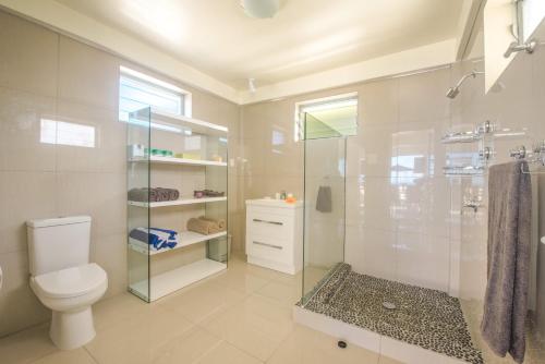 拉罗汤加Mai'I Villa Apartments的一间带卫生间和玻璃淋浴间的浴室