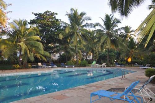 卡乌罗西姆Villa La Casita的一个带蓝色椅子的游泳池,棕榈树