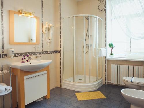 第聂伯罗Hotel Diana的带淋浴和盥洗盆的浴室