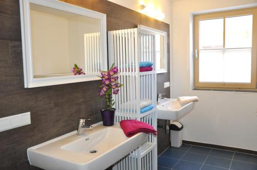 斯拉德明Appartement Romana - Altstadt的一间带水槽、卫生间和镜子的浴室
