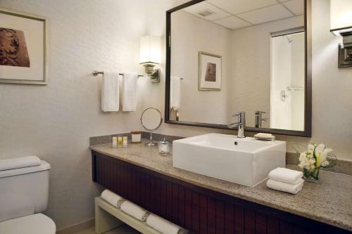 圣路易斯拱门凯悦酒店的一间浴室