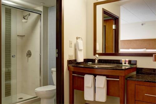 斯科茨斯科特斯德古城凯悦酒店的一间带水槽、卫生间和淋浴的浴室