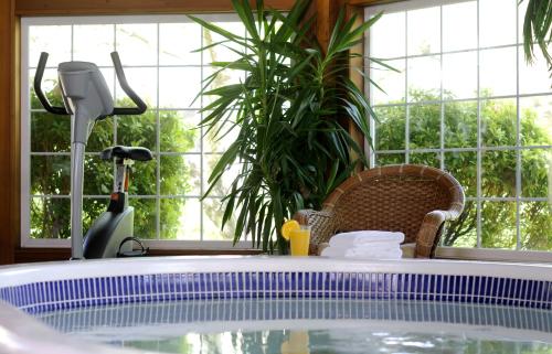 纳奈莫长湖旅馆的植物和窗户的房间内的热水浴缸