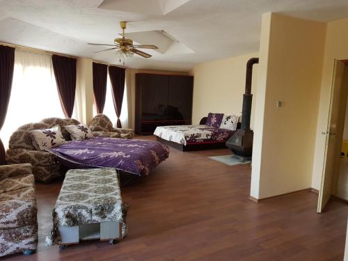 SadovoGuest House Sadovo的客厅配有沙发和1张床