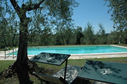 帕拉伊阿Azienda Agricola Le Querce的一个带桌子和树的游泳池