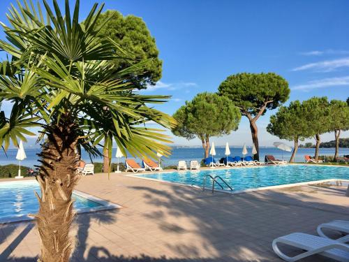 加达湖畔帕登赫戴尔拉戈度假酒店的游泳池前的棕榈树