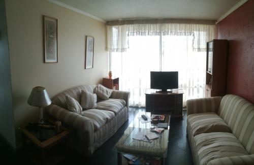 圣地亚哥Depto Santiago San Miguel Metro Lo Vial的客厅配有两张沙发和一台电视