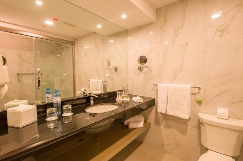 利马拉科城市贝斯特韦斯特PLUS酒店的一间带水槽、卫生间和淋浴的浴室
