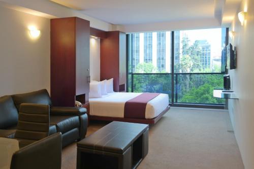 墨西哥城卡普里雷夫玛安琪380公寓式酒店的酒店客房设有一间带一张床和一张沙发的卧室