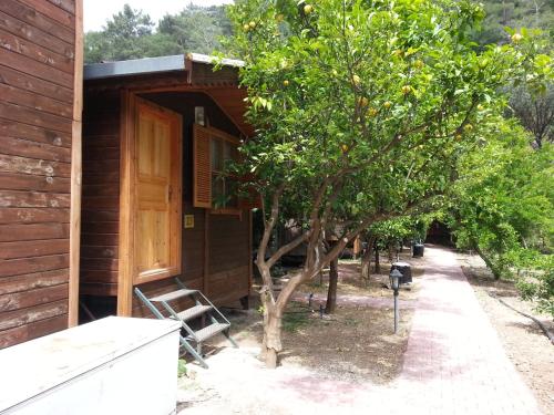 奥林波斯Olympos Varuna Bungalows的木房子,木门和树